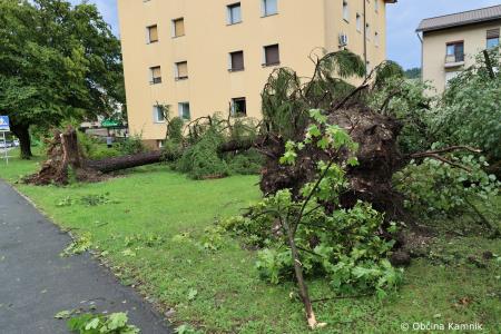 Neurje z vetrom podiralo drevesa in odkrivalo strehe (27)